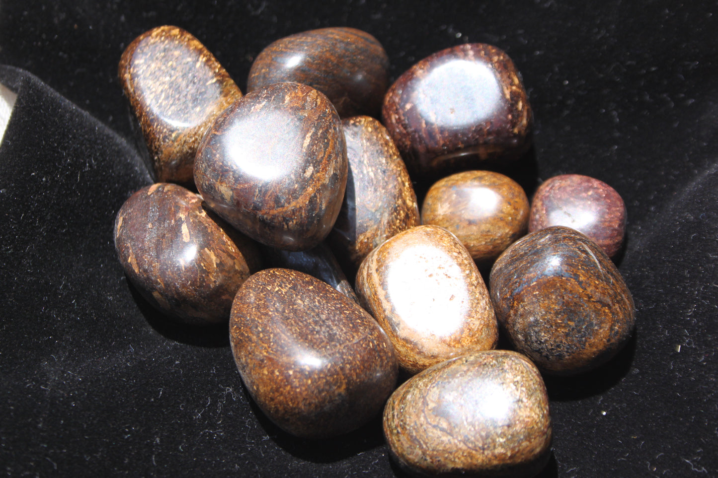Bronzite