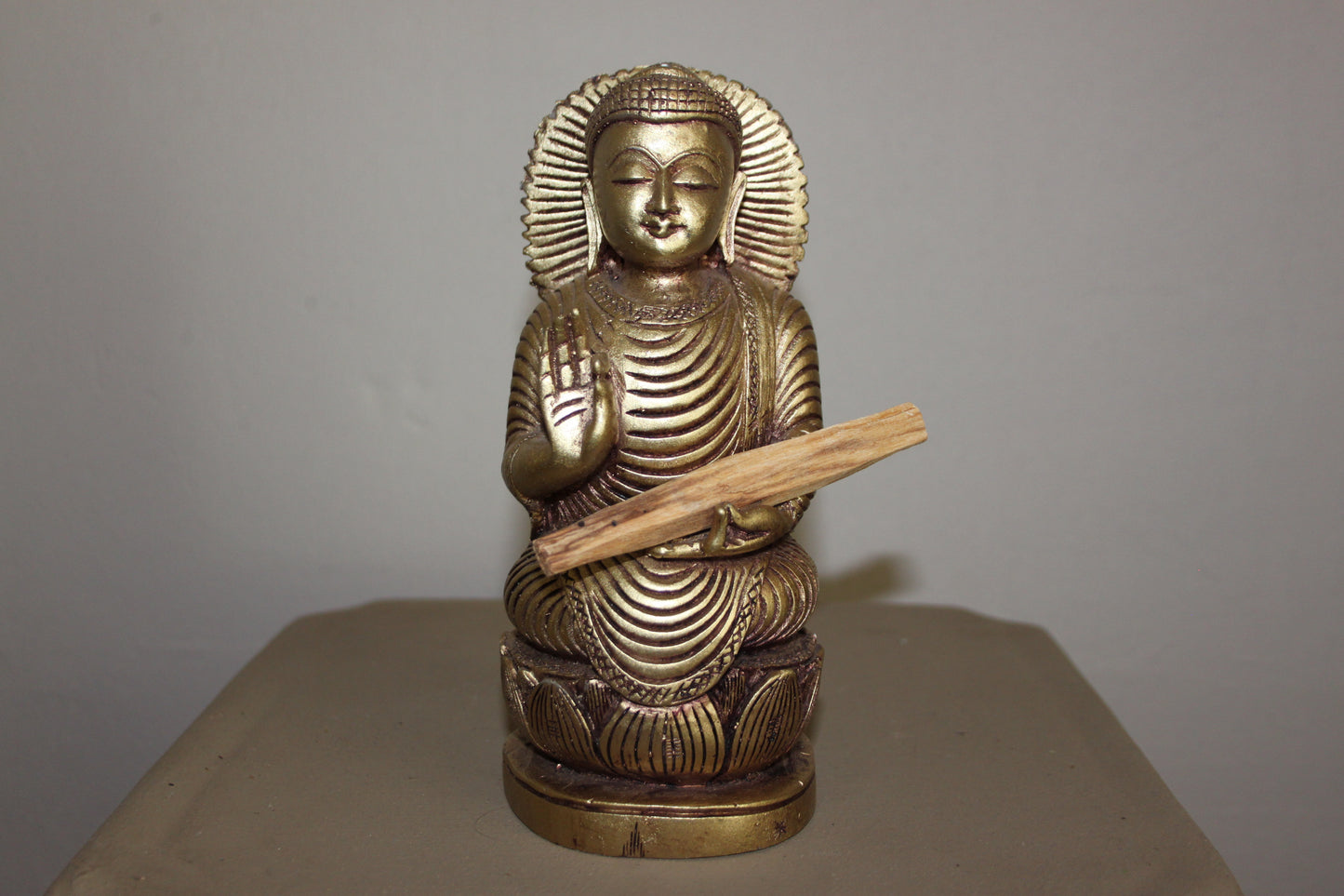 Palo Santo Holy Wood