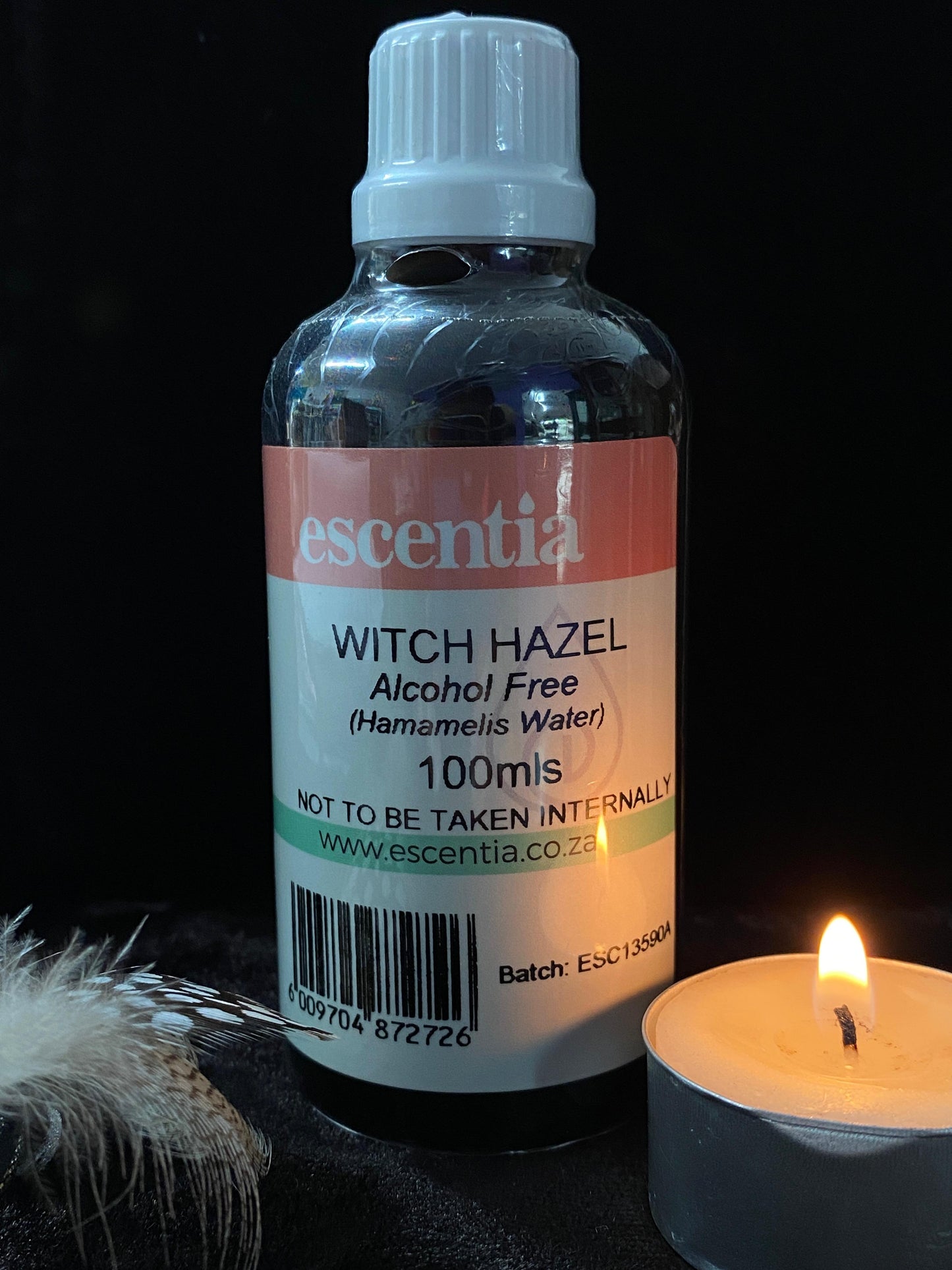 Witch Hazel