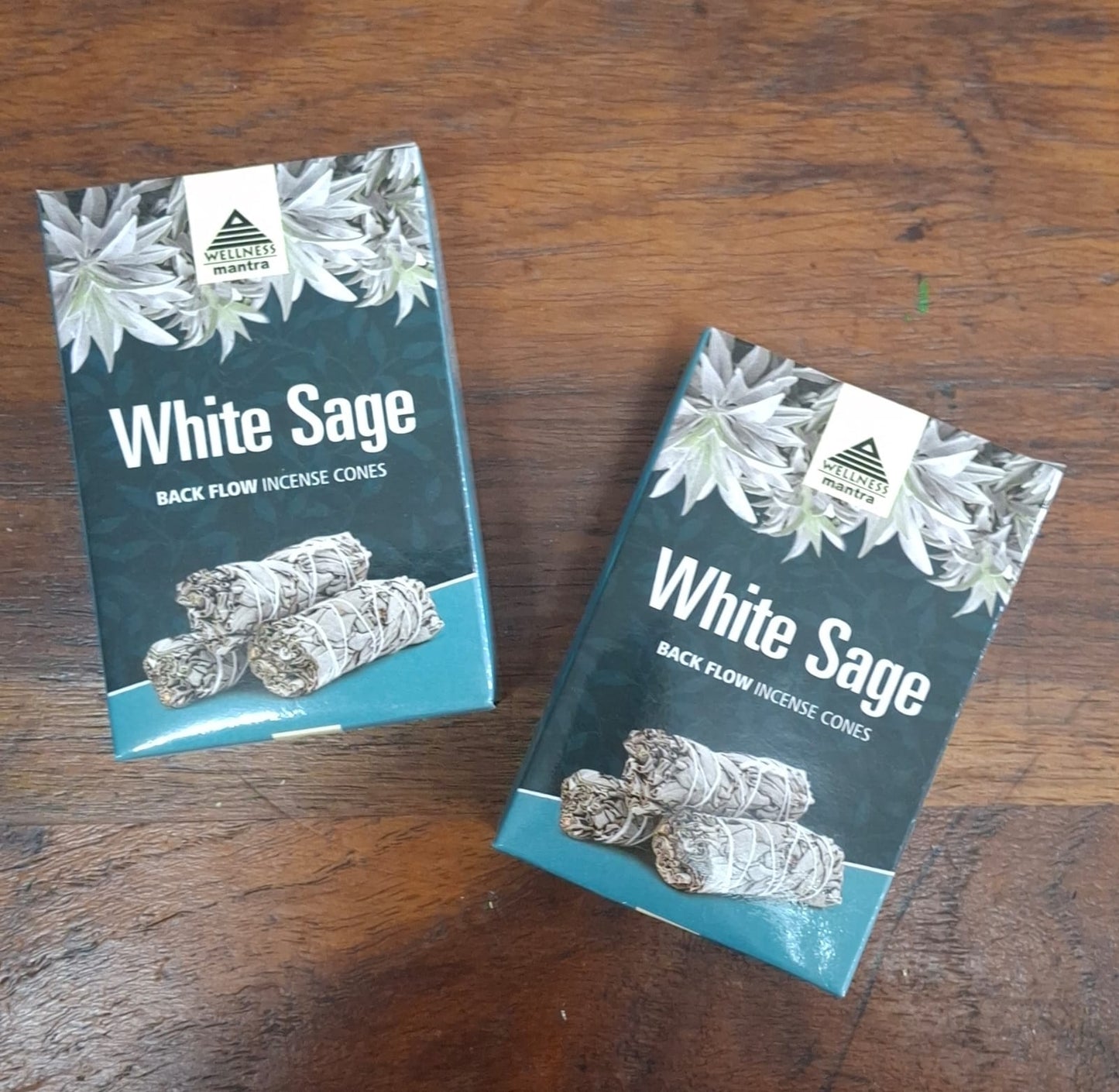 White Sage backflow incense cones – Wellness Mantra Wellness natural incense for space cleansing, meditation, and rituals.