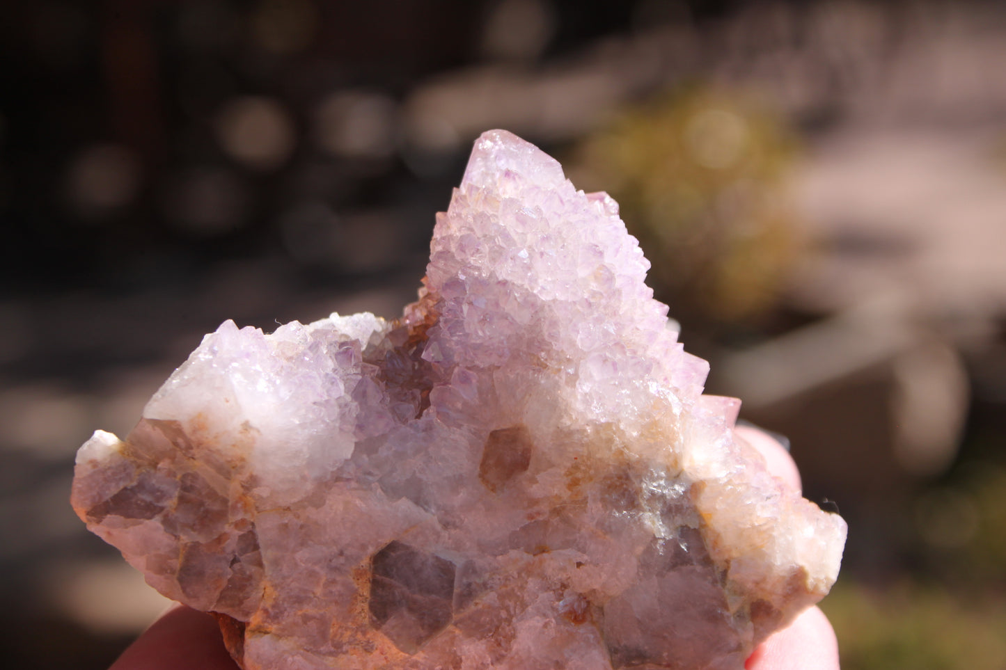 Amethyst Cluster