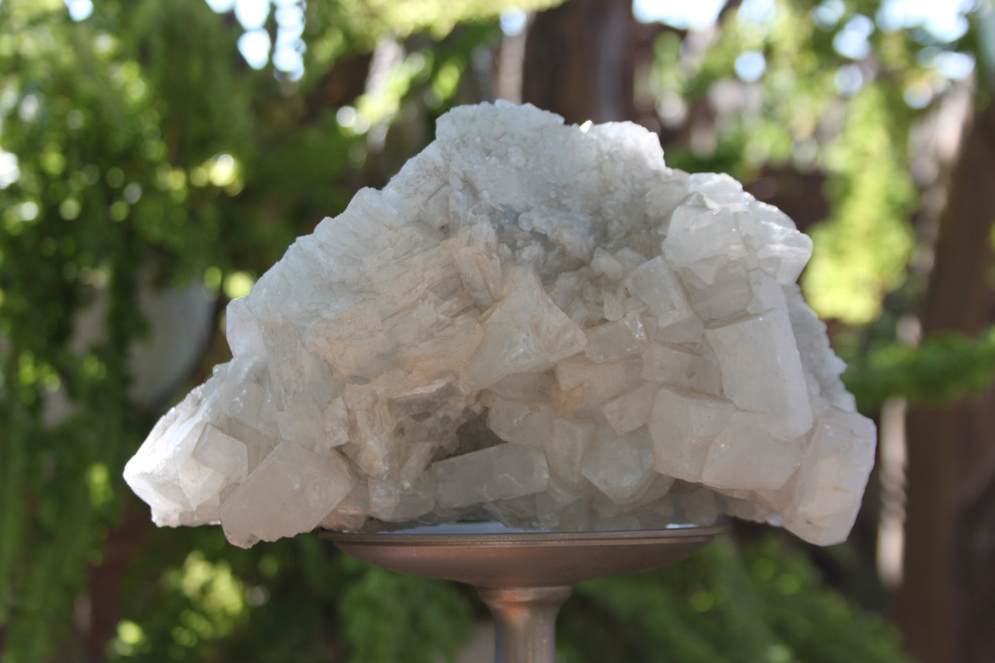 Apophyllite Freeform