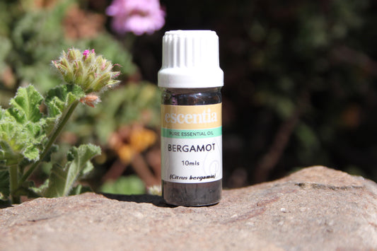 Bergamot Essential Oil