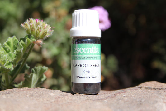 Carrot Seed Essential Oil