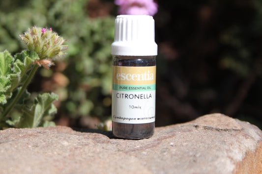 Citronella Essential Oil