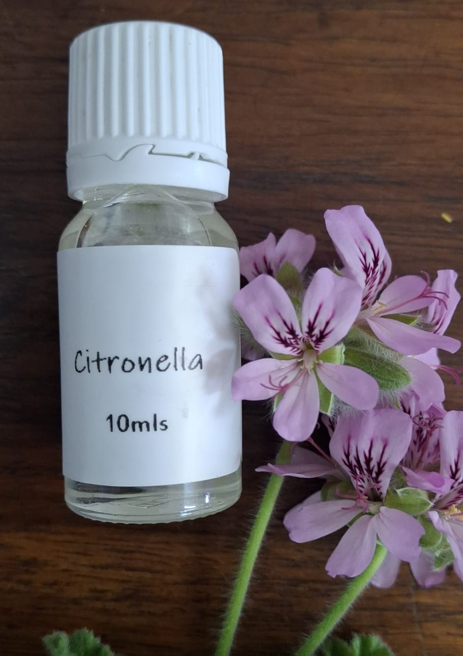 Citronella Potpourri Oil 10ml – fresh, lemony fragrance oil that purifies the air and helps repel insects naturally.