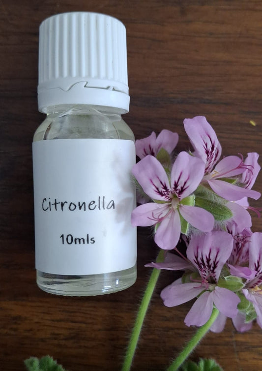 Citronella Potpourri Oil 10ml – fresh, lemony fragrance oil that purifies the air and helps repel insects naturally.