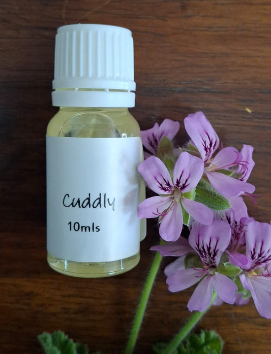 Cuddly Potpourri Oil 10ml – warm and comforting fragrance oil for creating a cozy, relaxing atmosphere.