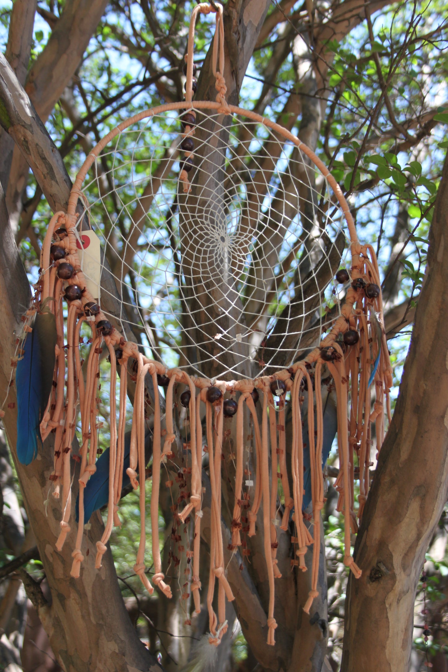 Boho Dreamcatcher Rustic Orange