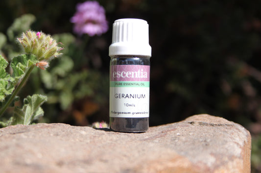 Geranium Essential Oil