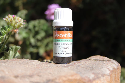 Helichrysum Essential Oil