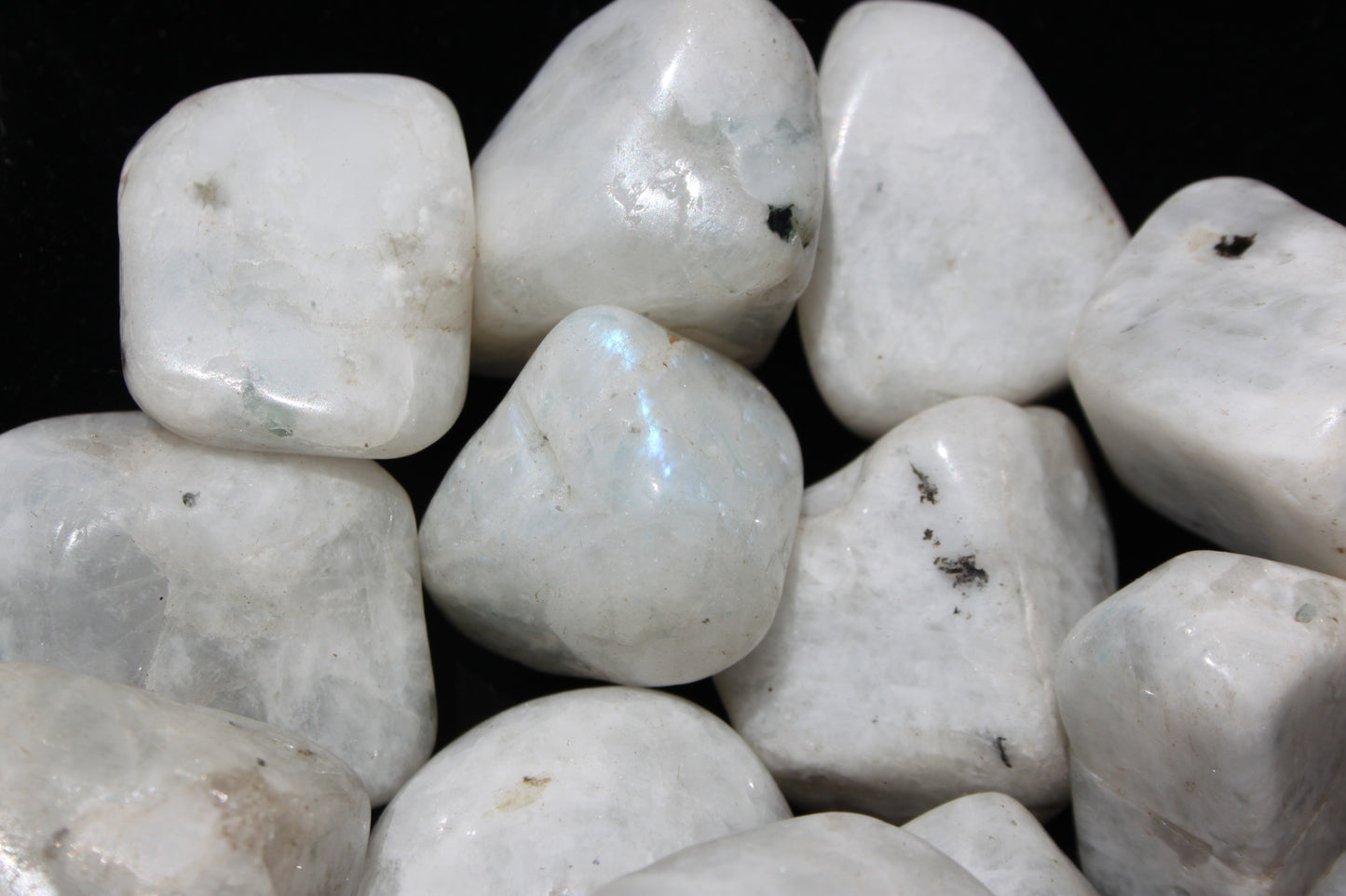 Rainbow Moonstone/White Labradorite