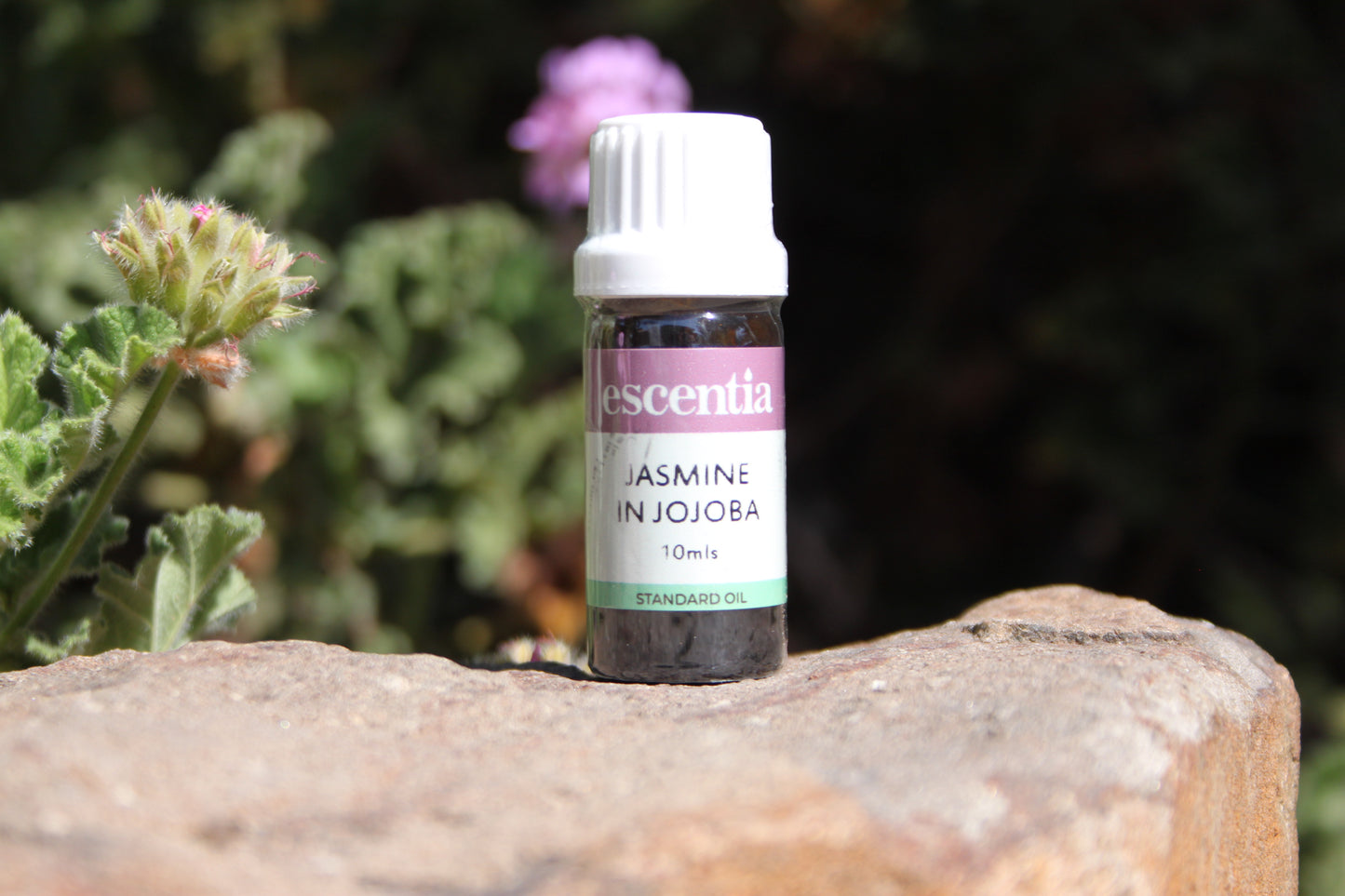 Jasmine in Jojoba Essential Oil