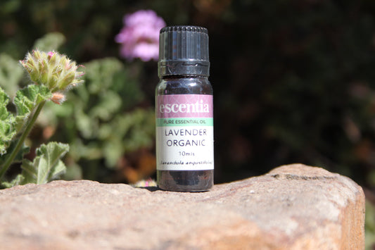 Lavender Organic Essential Oil