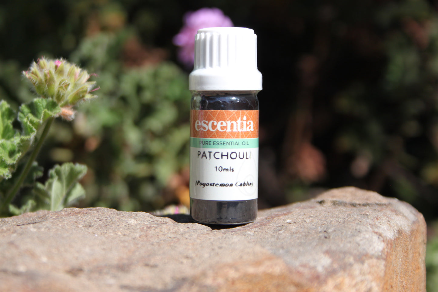 Patchouli Essential Oil