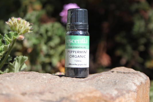 Peppermint Organic Essential Oil