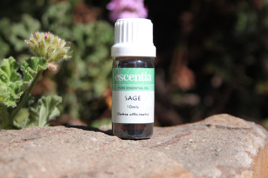 Sage Essential Oil