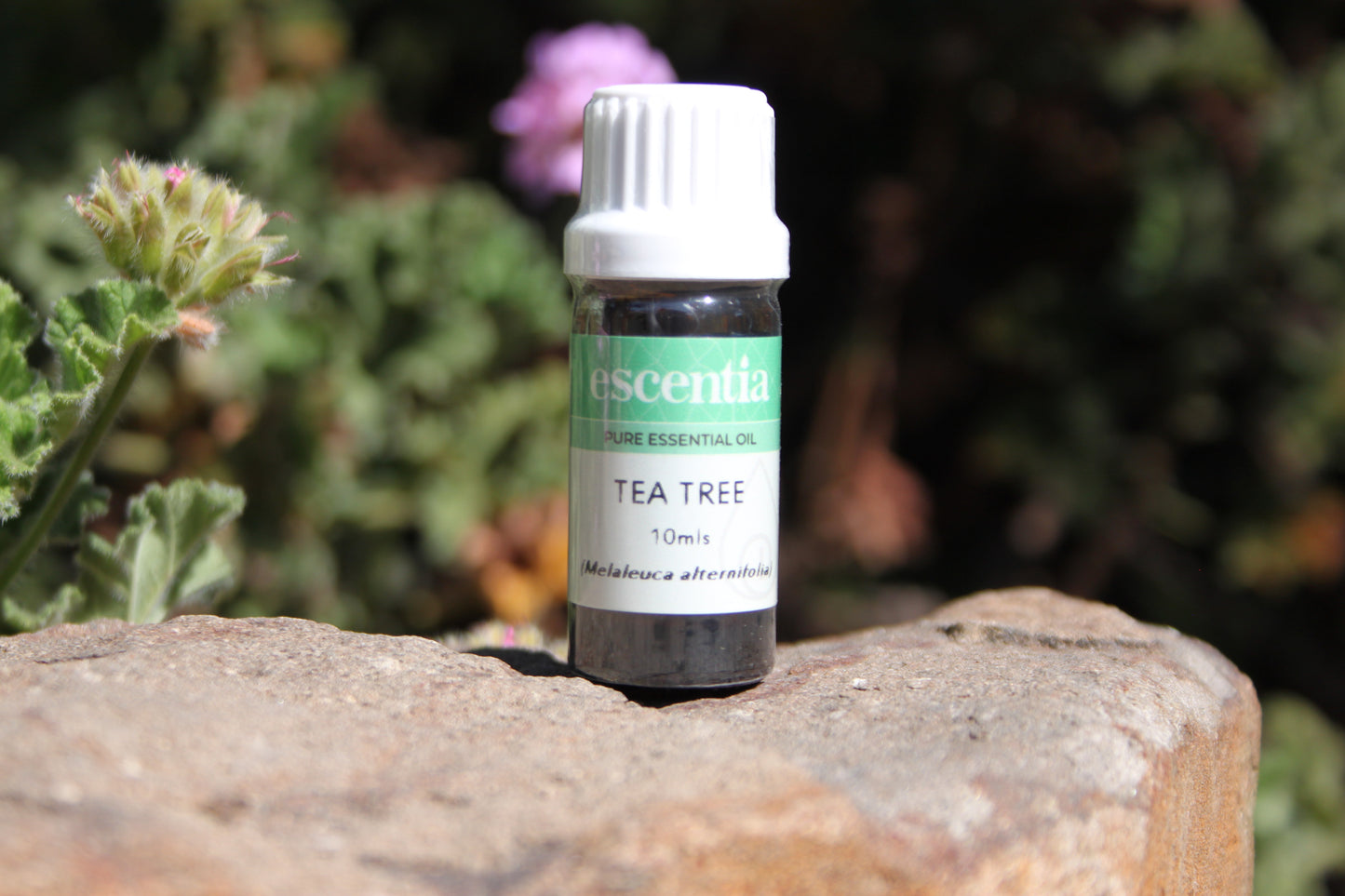 Tea Tree Essential Oil