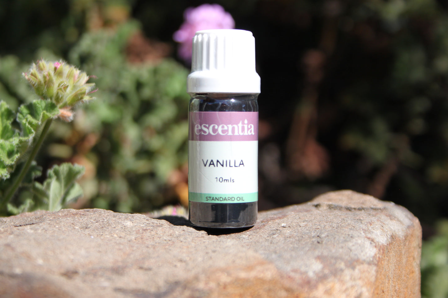 Vanilla Essential Oil