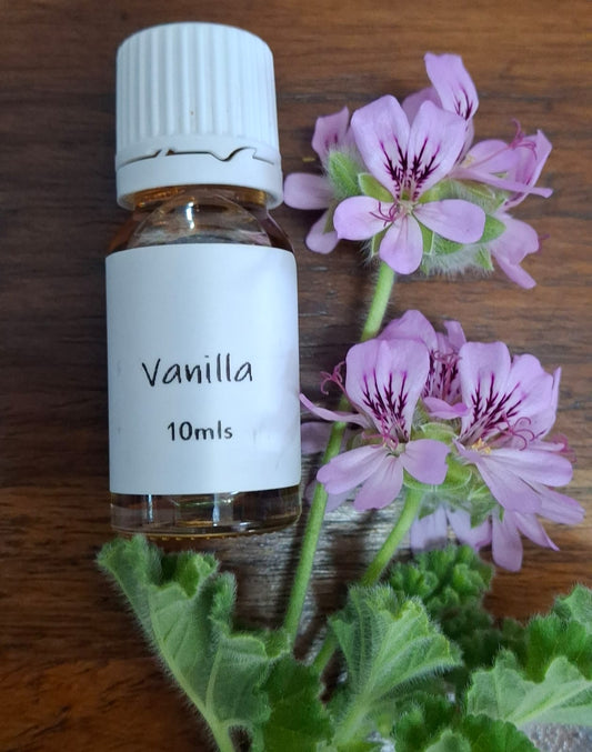 Vanilla Potpourri Oil 10ml – warm and sweet fragrance oil for creating a cozy and inviting atmosphere.