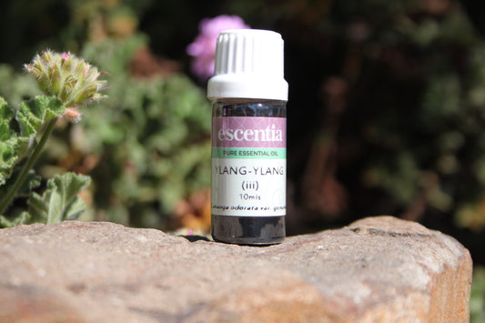 Ylang Ylang Essential Oil